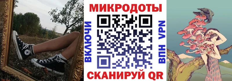 что такое   Удомля  Галлюциногенные грибы Psilocybine cubensis 